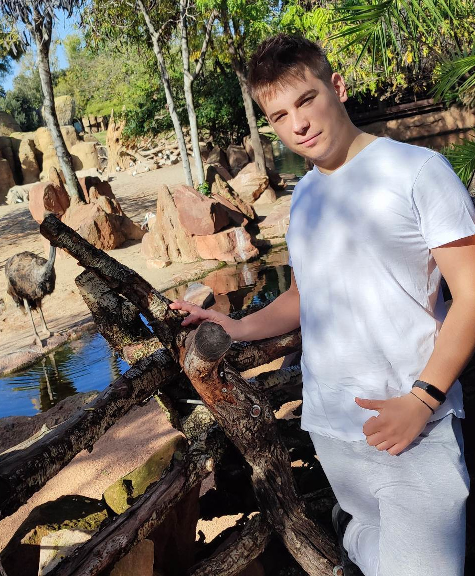 zdjecie basenu, palm i morza, zrobione z balkonu